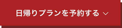 日帰りプランを予約する
