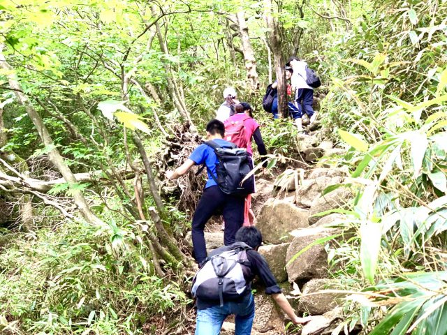 裏登山道の峠付近