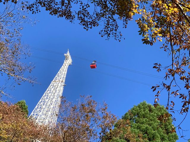 本谷ルートから鉄塔を見上げる