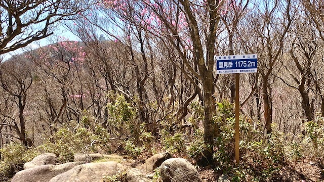 国見岳山頂1,175ｍ