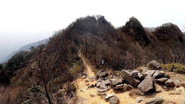 鎌ヶ岳　岳峠付近