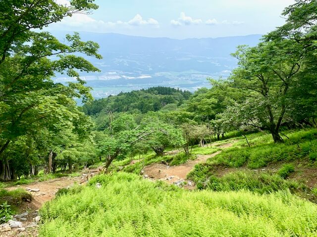 藤原岳8合目過ぎのイメージ