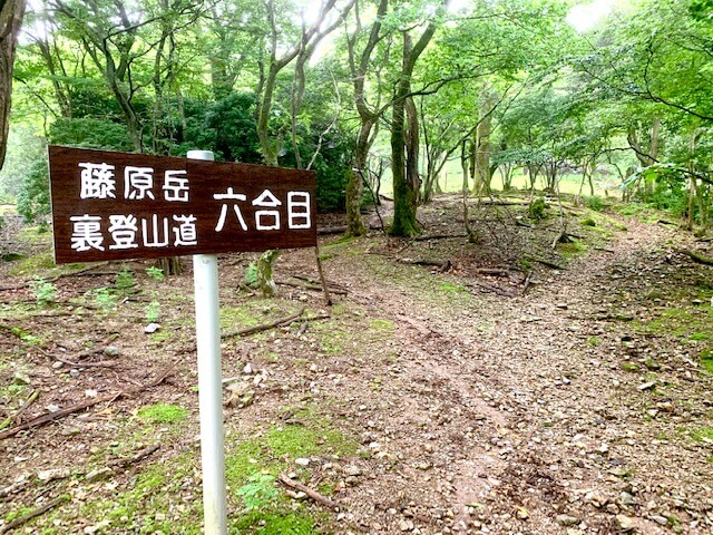 聖宝寺登山道6合目