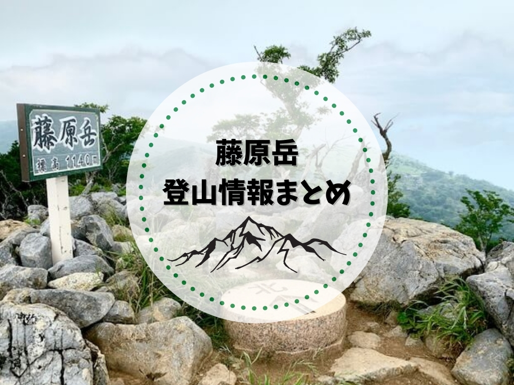 藤原岳登山の基本情報～花の百名山にも選ばれた、初心者でもトライ