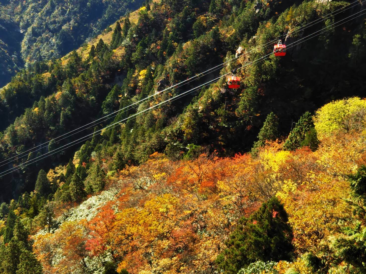 御在所岳中腹の紅葉イメージ