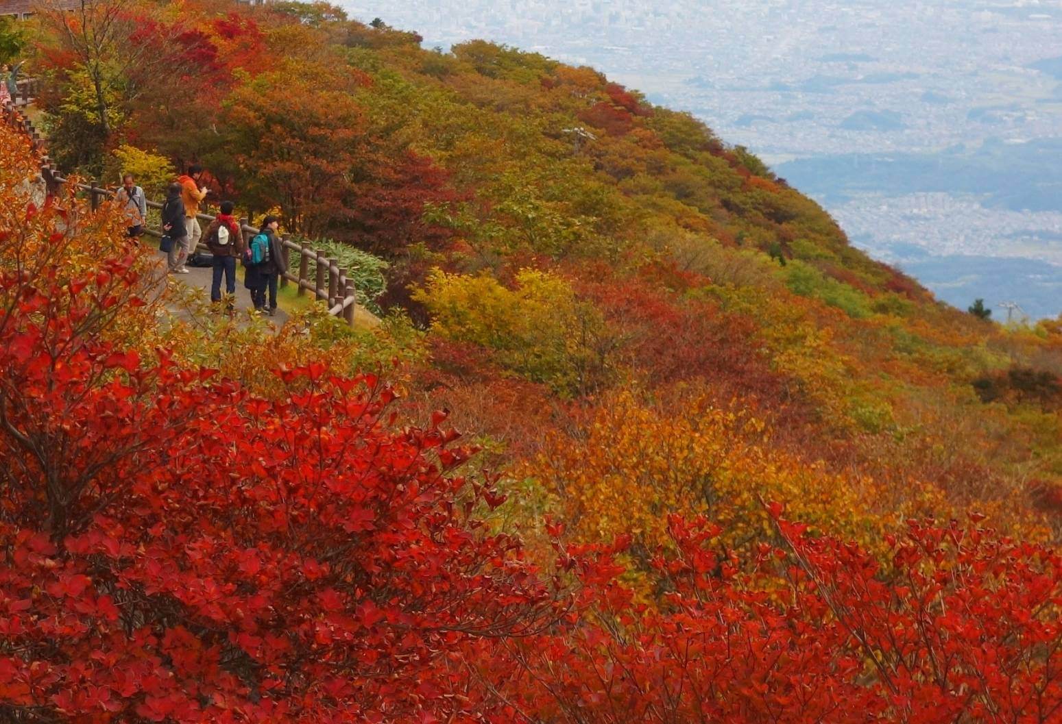 御在所岳山上の紅葉イメージ