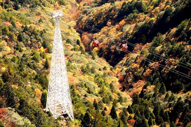 御在所岳の紅葉イメージ