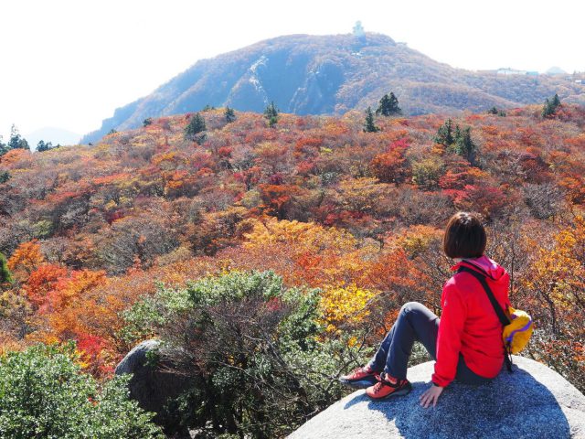 国見岳からの御在所岳紅葉