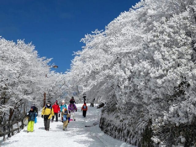 御在所岳の樹氷