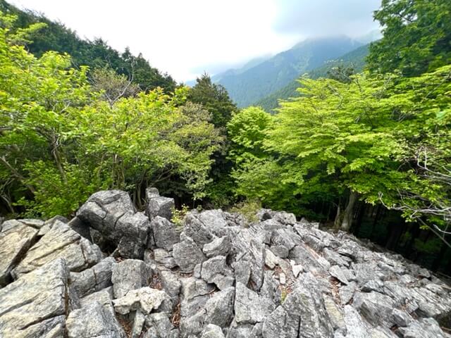 遠足尾根の展望台