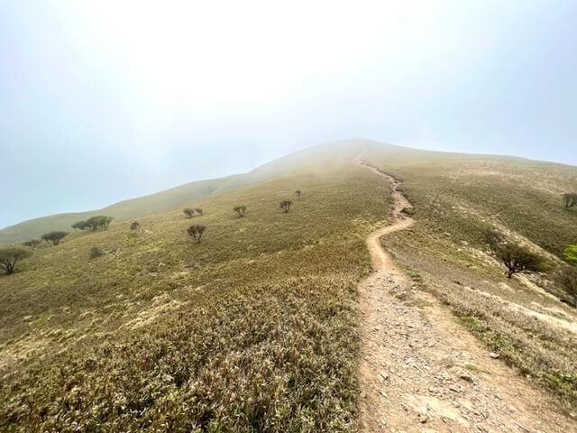 竜ヶ岳の山上エリア