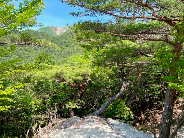 鈴鹿・竜ヶ岳金山尾根ルート