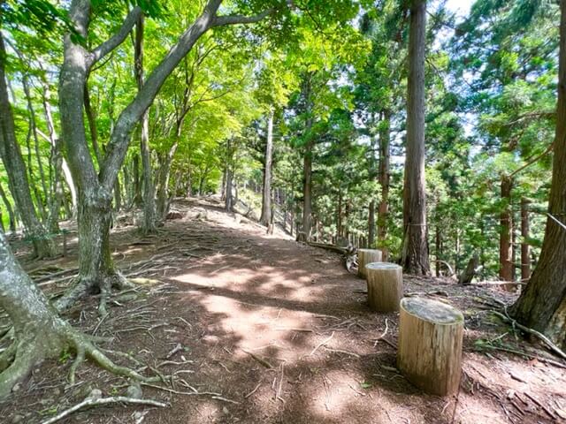 竜ヶ岳の金山尾根ルート