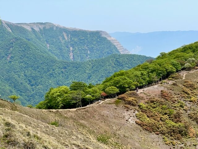 竜ヶ岳の金山尾根から遠足尾根が見える