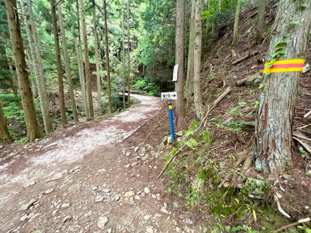 竜ヶ岳の遠足尾根登山口