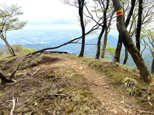 竜ヶ岳中道ガレ