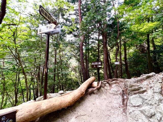 竜ヶ岳金山尾根登山口