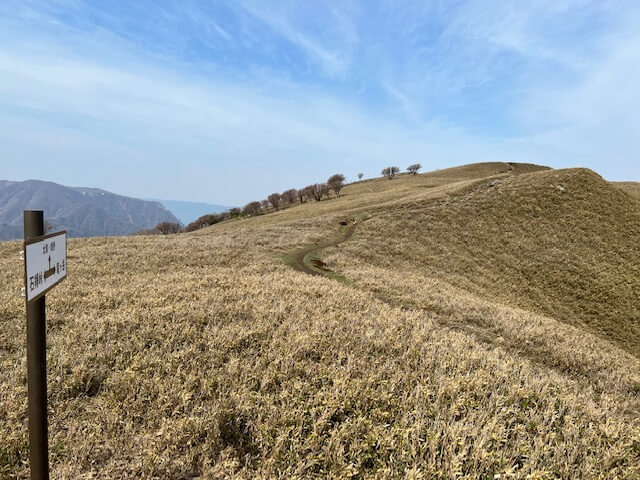 竜ヶ岳表登山道