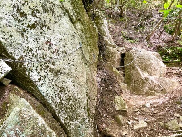 竜ヶ岳中道登山道