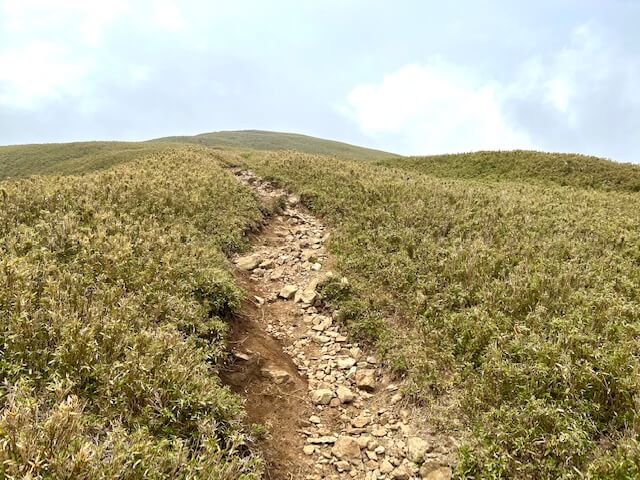 竜ヶ岳　中道山上付近