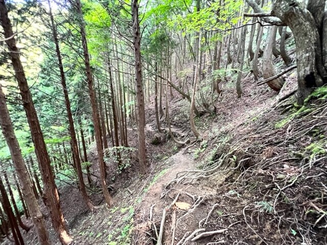 雨乞岳武平ルートのイメージ