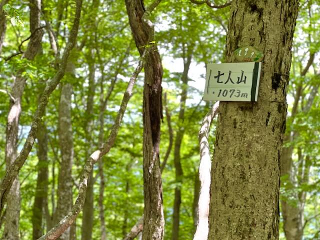 滋賀県　七人山