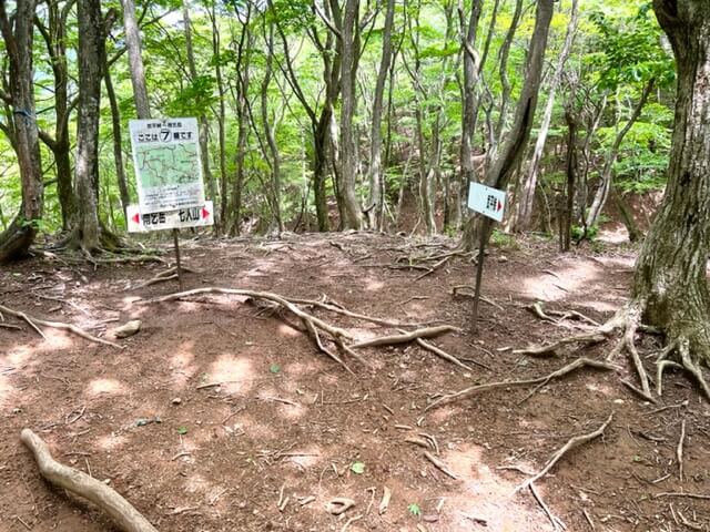 東雨乞岳と七人山の分岐