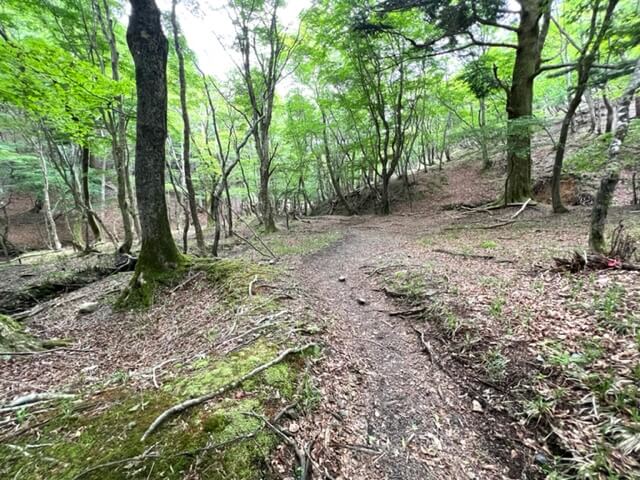 沢谷峠からコクイ谷分岐のルートイメージ