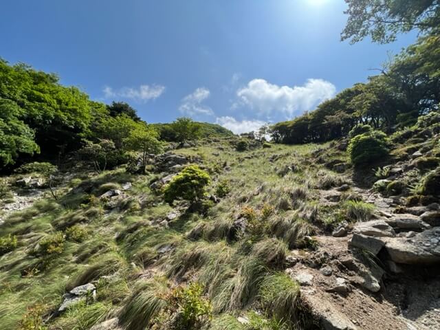 庵座谷ルート　急登のはじまり