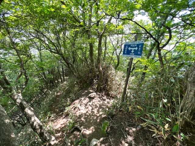 釈迦ヶ岳・中尾根と松尾尾根の分岐