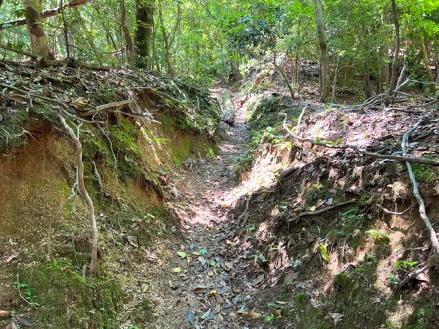 釈迦ヶ岳　松尾尾根