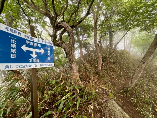 釈迦ヶ岳（中尾根と松尾尾根）