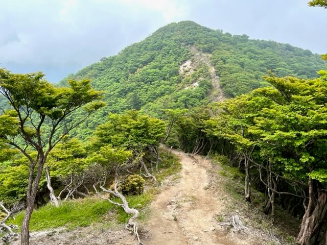 釈迦ヶ岳（鈴鹿）の稜線