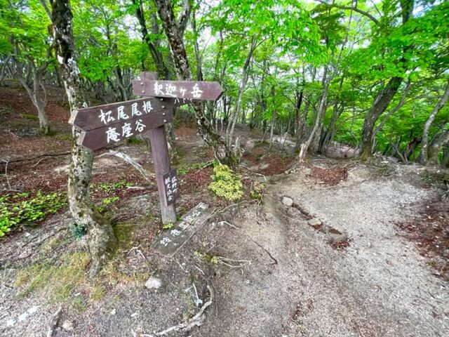 釈迦ヶ岳（鈴鹿）山上の分岐