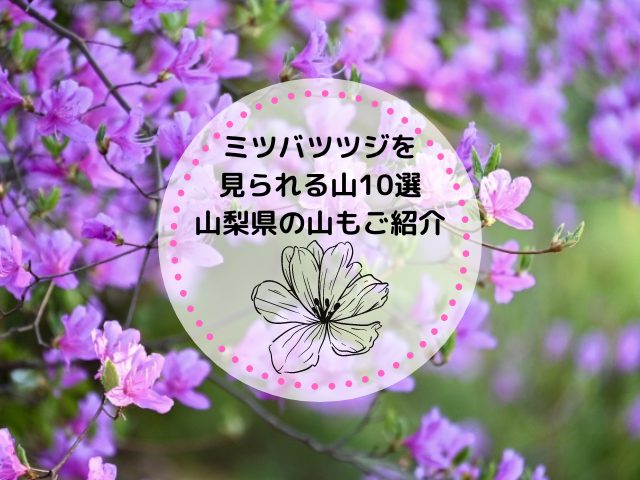 ミツバツツジを見られる山10選！山梨県の山もご紹介！