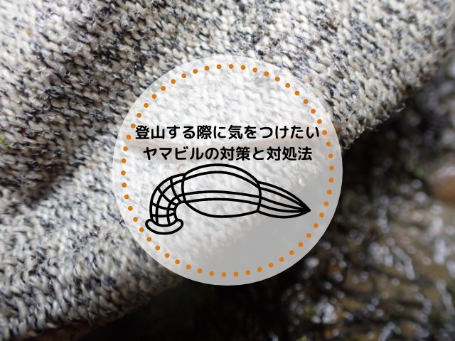 登山する際に気をつけたいヤマビルの対策と対処法について