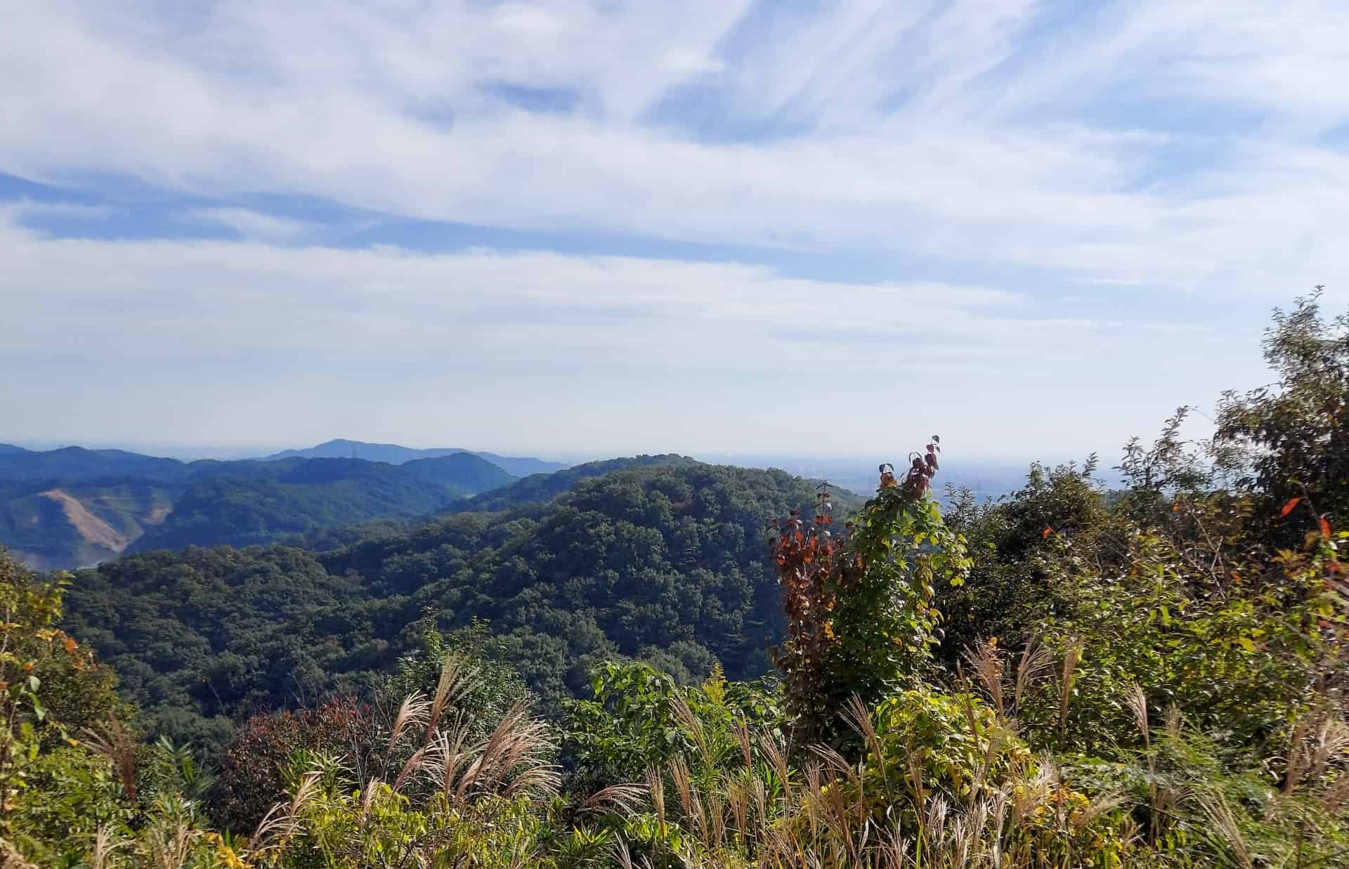 茶臼山