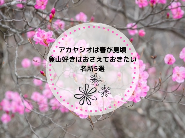 アカヤシオは春が見頃！登山好きならおさえておきたい名所5選