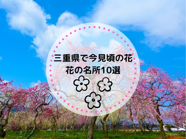 三重県で今見頃の花とは？三重県のおすすめの花の名所10選も紹介！