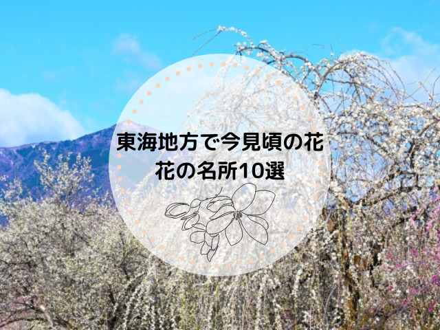 東海地方で今見頃の花とは？東海地方のおすすめの花の名所10選も紹介！