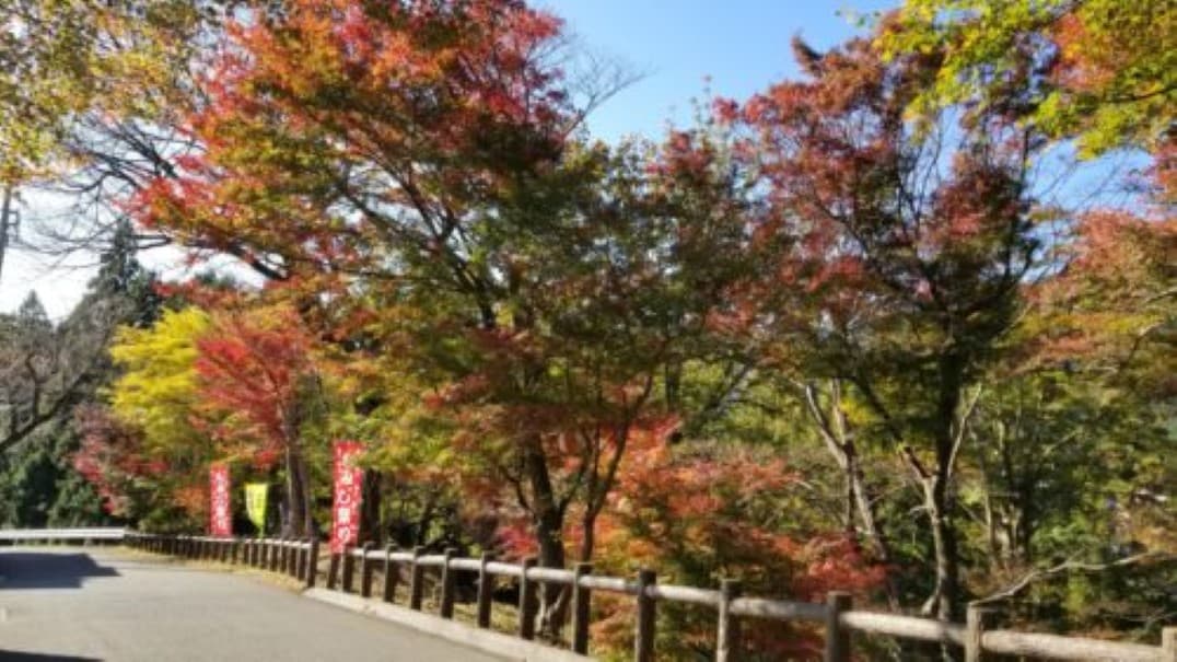 水沢もみじ谷