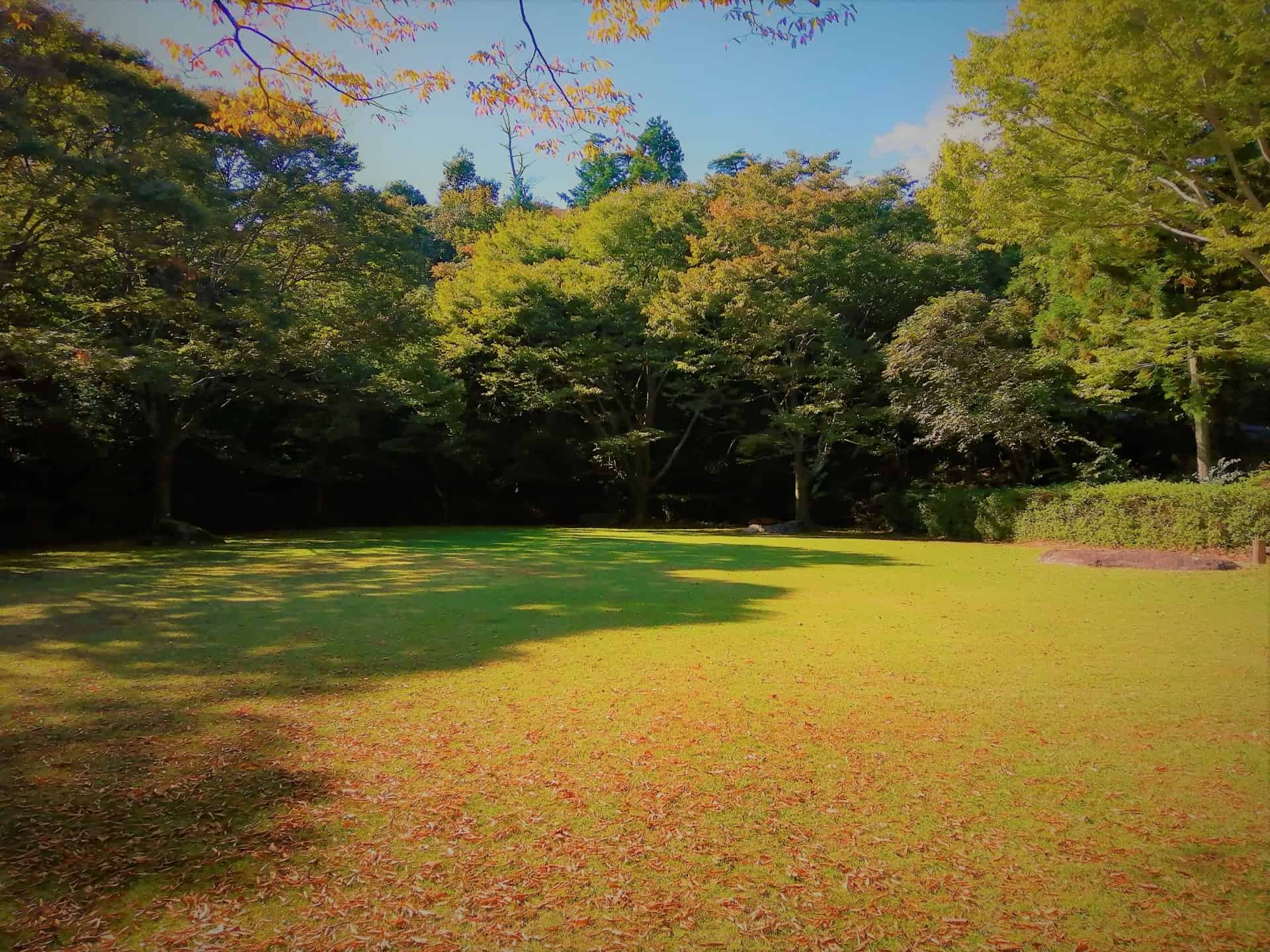 三重県民の森