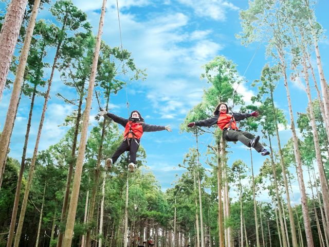 フォレストアドベンチャー・湯の山