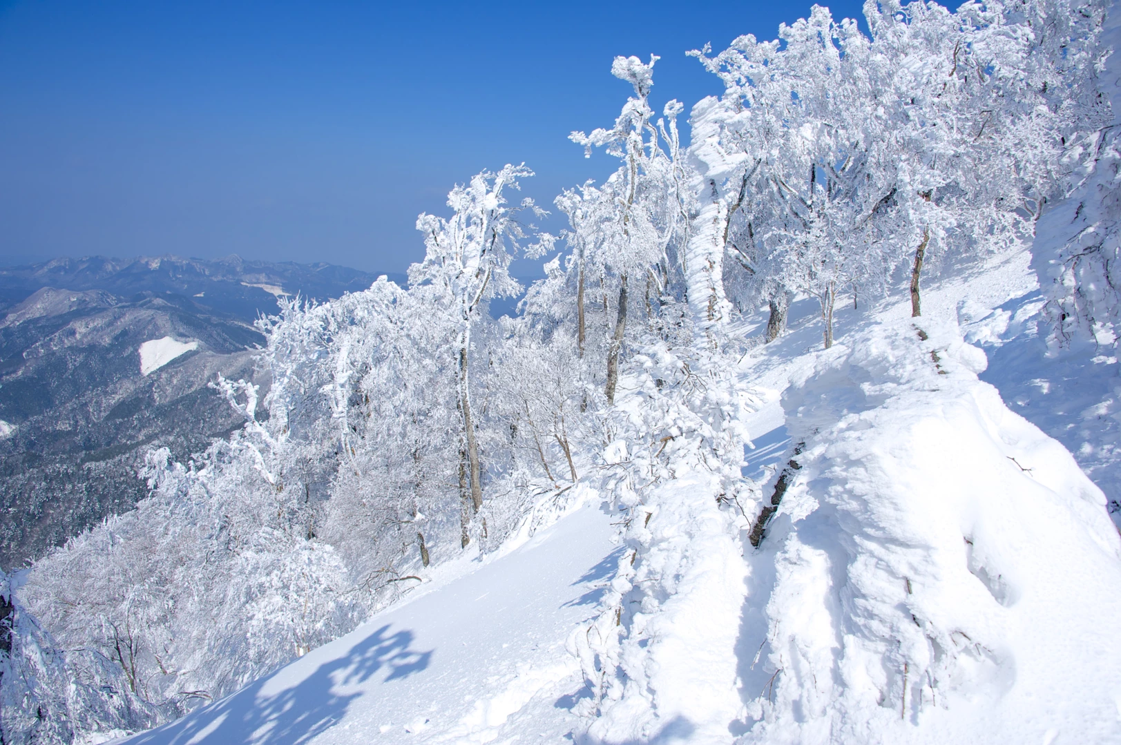 高見山