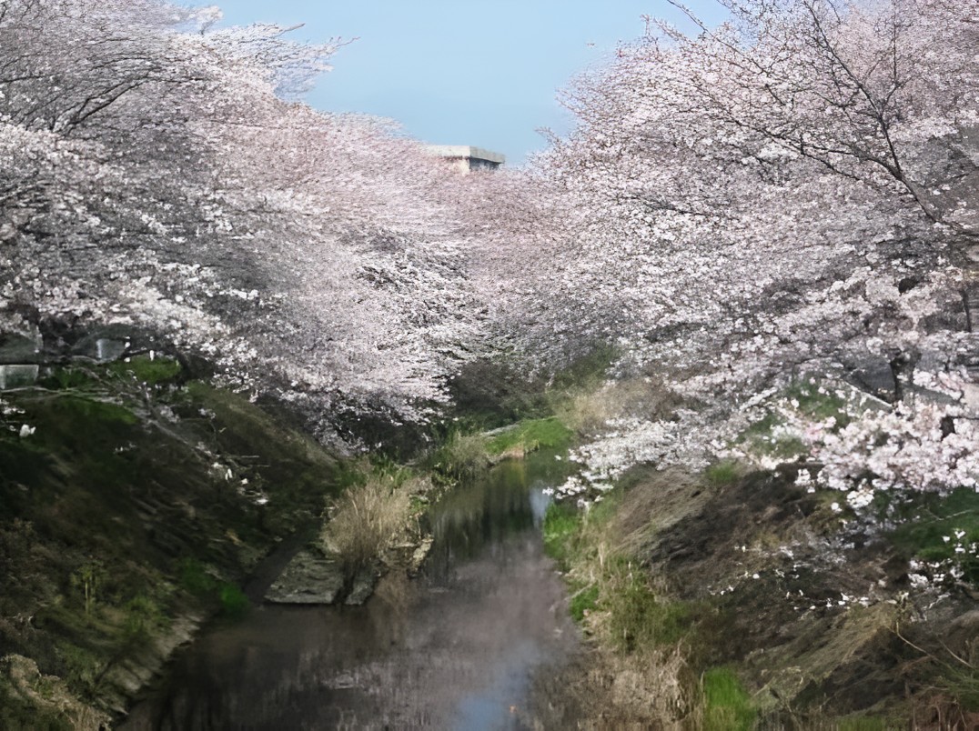 竹谷川堤防沿い