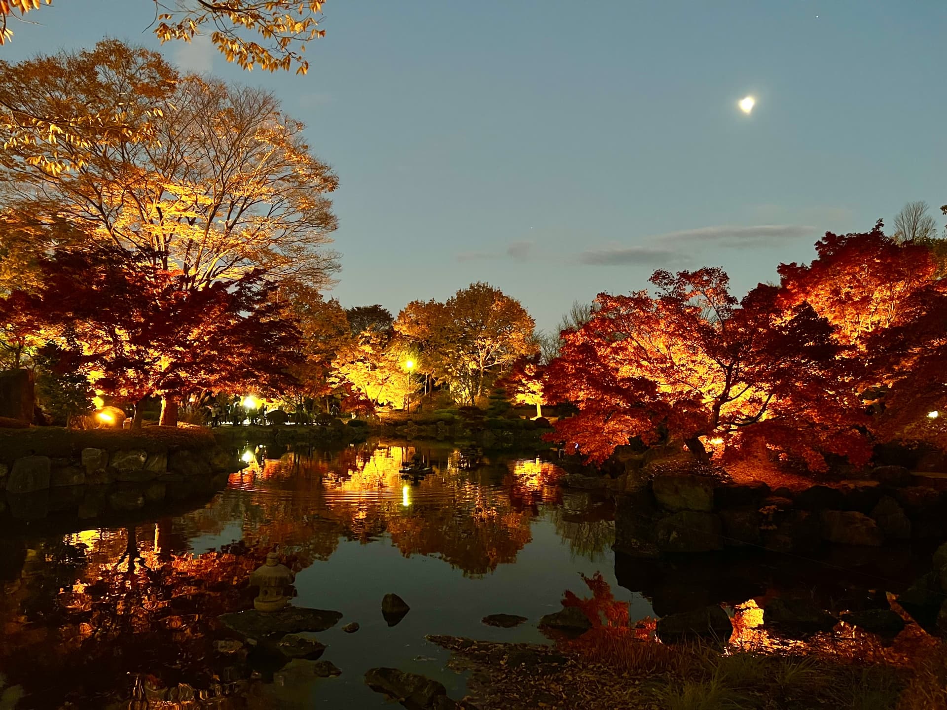 桜山公園