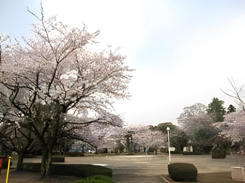 名所②：城跡歴史公園