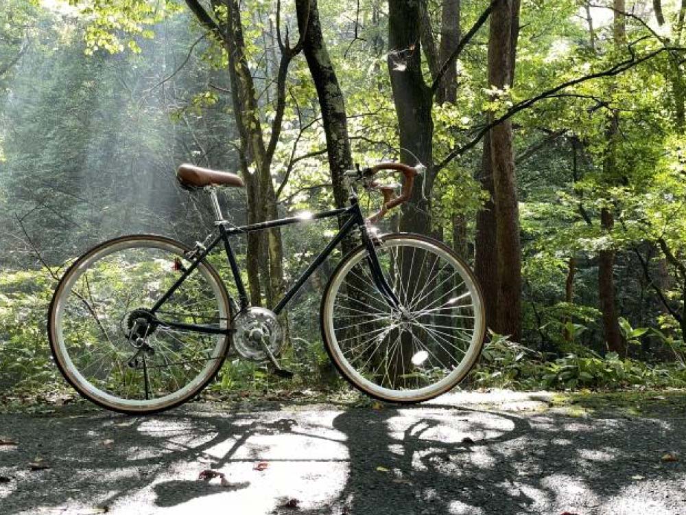 森の中にある自転車