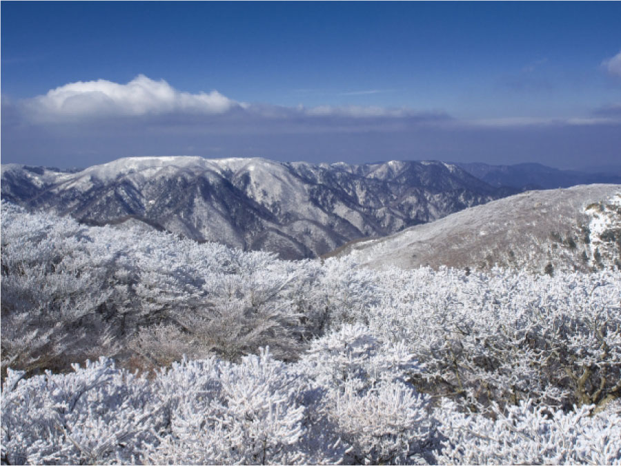 冬におすすめの御在所岳