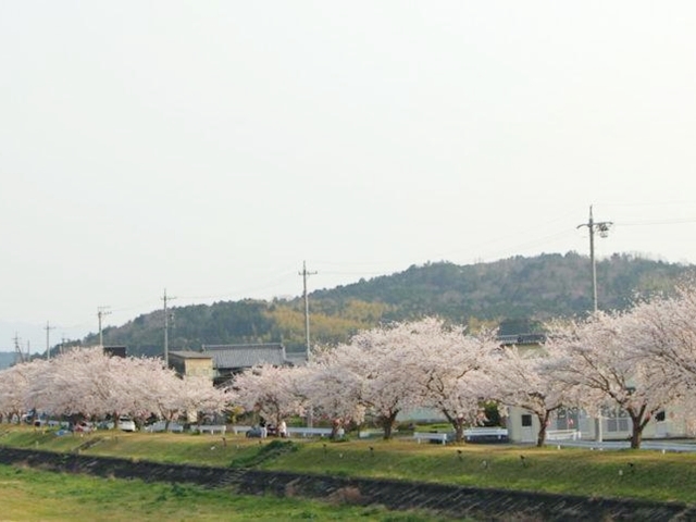 依那古木津川堤